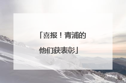 喜报！青浦的他们获表彰